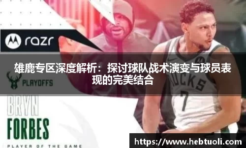 雄鹿专区深度解析:探讨球队战术演变与球员表现的完美结合